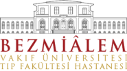 Bezmilem Vakifititif